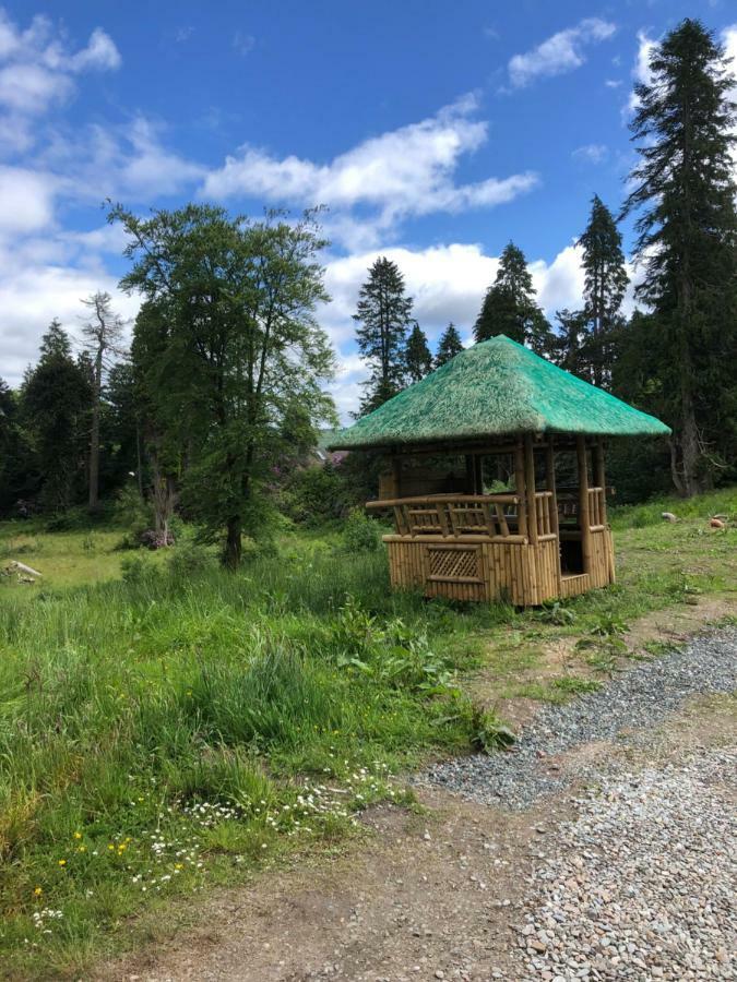61 Glenfinart Caravan Park Данун Екстериор снимка