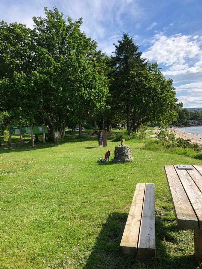 61 Glenfinart Caravan Park Данун Екстериор снимка